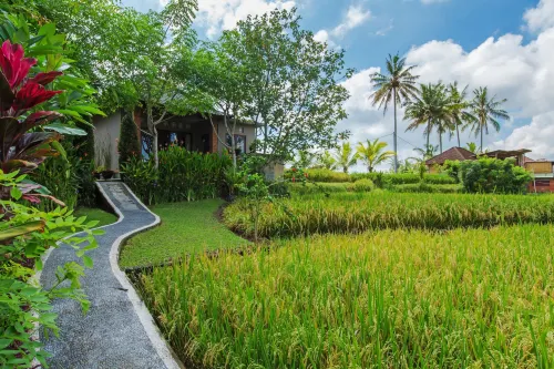 Cahaya Ubud Villa Eksterior Photos