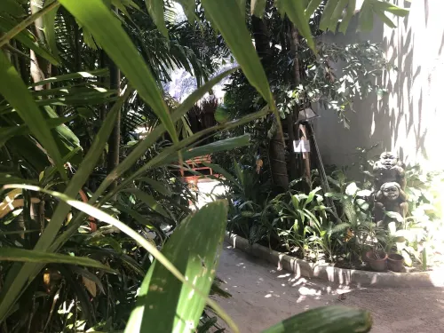 Nigi Nigi Nu Noos 'e' Nu Nu Noos Extérieur Photos
