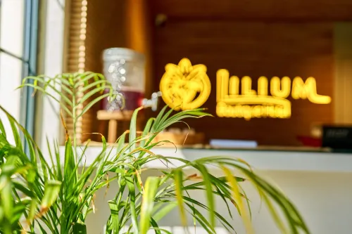 Lilium Boutique Hotel Espaces publics Photos
