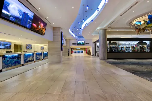Embassy Suites by Hilton Niagara Falls/ Fallsview Espaces publics Photos