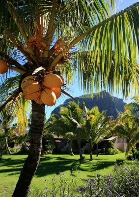 LUX* Le Morne, Mauritius Экстерьер Photos