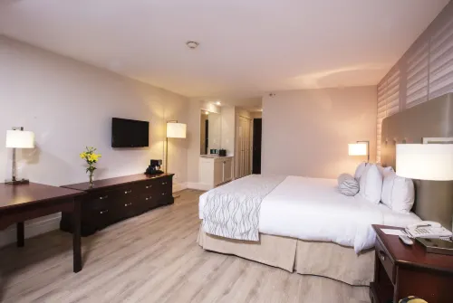 Krystal Satelite Maria Barbara Rooms Photos