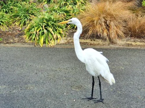 Bay Vista Waterfront Motel Photos