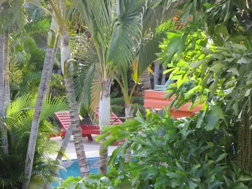Wailoaloa Beach Resort Fiji Leisure & Recreation Photos