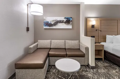 Comfort Suites Anderson-Clemson Chambres Photos