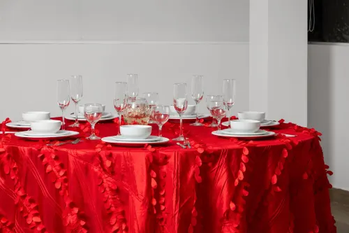 Ramada by Wyndham Tampico Centro Business Photos