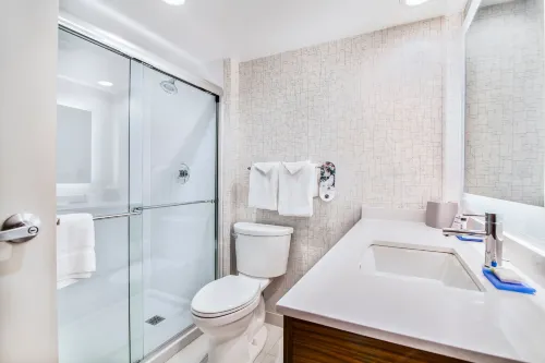 Holiday Inn Express & Suites Langley Rooms Photos