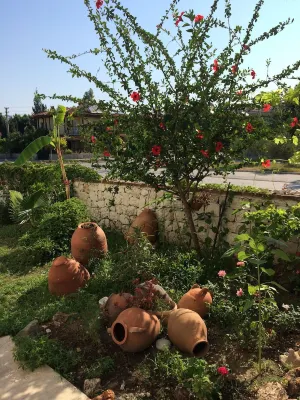 Kilim Hotel & Apart À ne pas manquer Photos