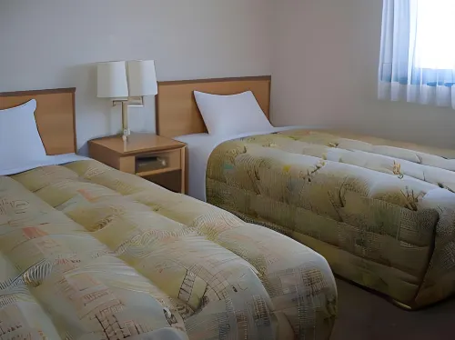 Business Hotel Cosmo Inn Photos