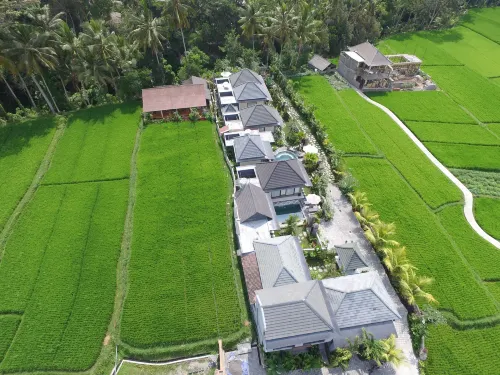 Villa JJ and Spa Ubud من الخارج Photos