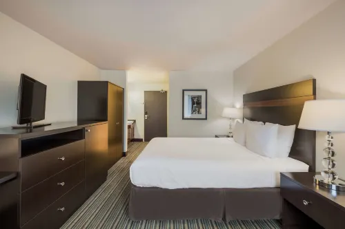 Best Western Alderwood Rooms Photos