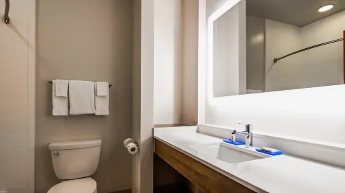 Holiday Inn Express & Suites Detroit - Farmington Hills Chambres Photos
