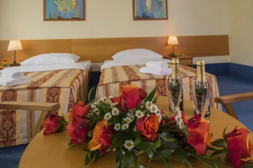 Top Hotel Praha Camere Photos