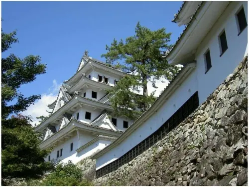 Miyako Hotel Gifu Nagaragawa Dekat Hotel Photos