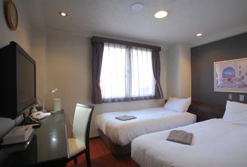 Shimizu City Hotel Photos