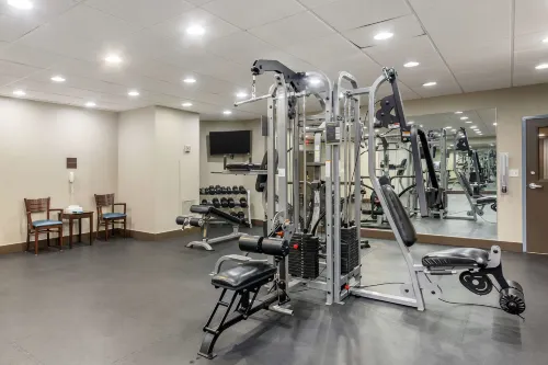 Best Western Naples Plaza Hotel Leisure & Recreation Photos