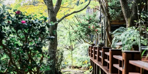 Kirishima Momijidani Seiryuso Extérieur Photos