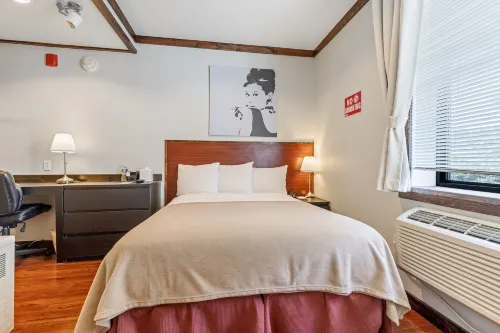 LIC Hotel Rooms Photos