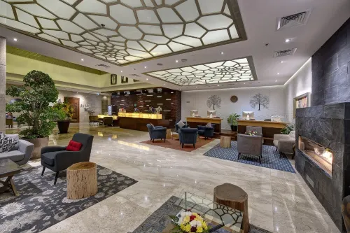 Grandeur Hotel Al Barsha Aree comuni Photos