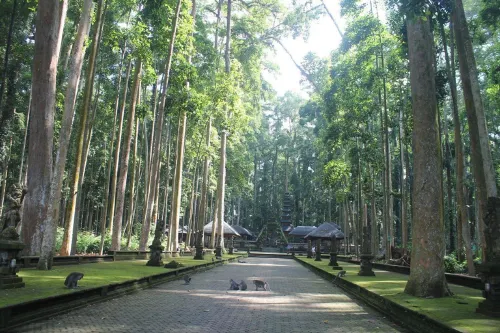 Alam Pracetha Bali Ubud بالقرب من الفندق Photos