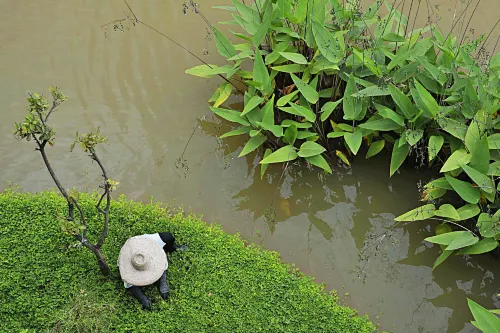 Le Meridien Chiang Rai Resort, Thailand À proximité de l'hôtel Photos
