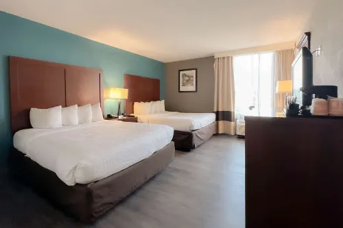 Comfort Inn & Suites Kissimmee by the Parks الغرف Photos