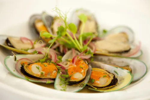Distinction Coachman Hotel, Palmerston North Dining Photos