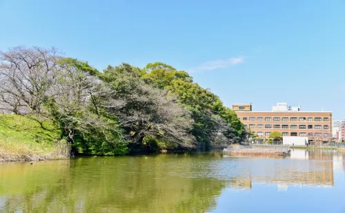 Toyoko Inn Fukuoka Tenjin Circondario Photos