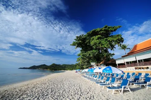 Chaweng Cove Beach Resort À proximité de l'hôtel Photos