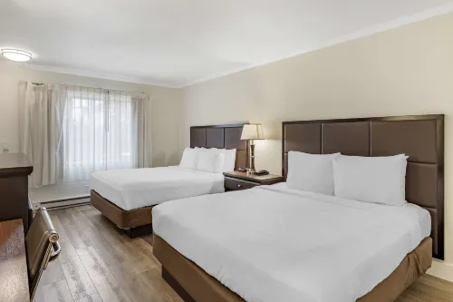Best Western Carmels Town House Lodge Camere Photos