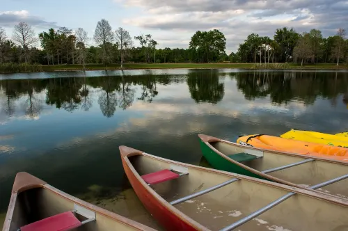 Hyatt Regency Grand Cypress Resort Near Hotel Photos