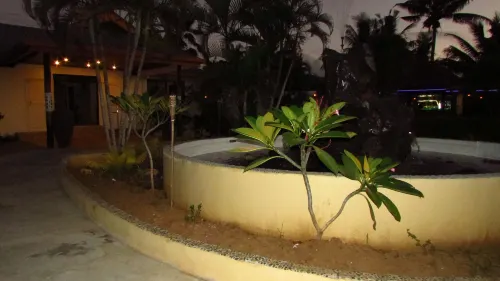 Wailoaloa Beach Resort Fiji Extérieur Photos