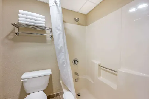 Comfort Inn & Suites East Hartford - Hartford Photos