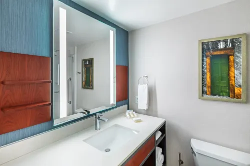 Hilton Garden Inn Houston/Sugar Land Zimmer Photos