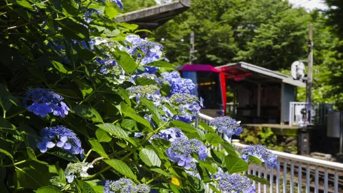 LiVEMAX RESORT HAKONEASHINOKO Photos