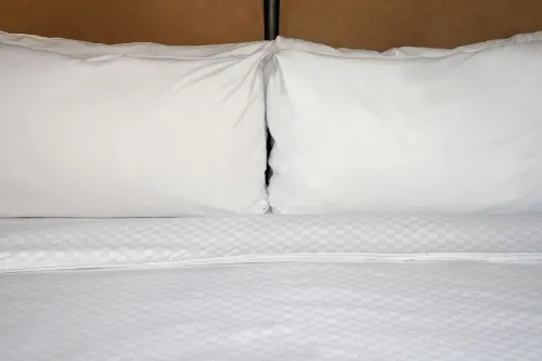 Four Points by Sheraton Mall of America Minneapolis Airport Camere Photos