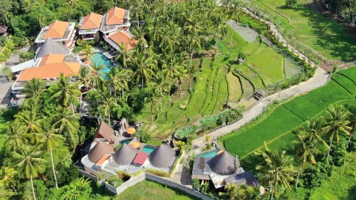 Green Field Resort Ubud Featured Photos