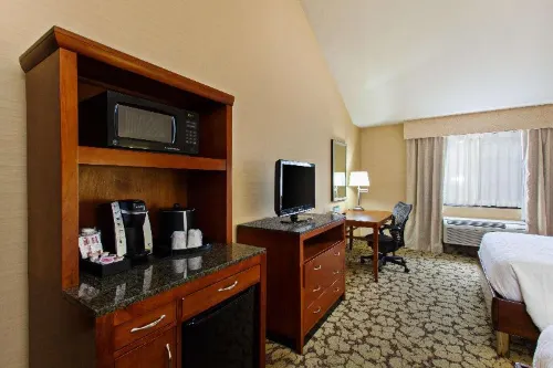 Hilton Garden Inn Valencia at Six Flags Camere Photos