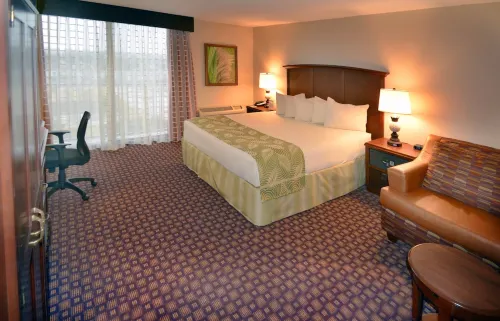 Rosen Inn Closest to Universal Rooms Photos