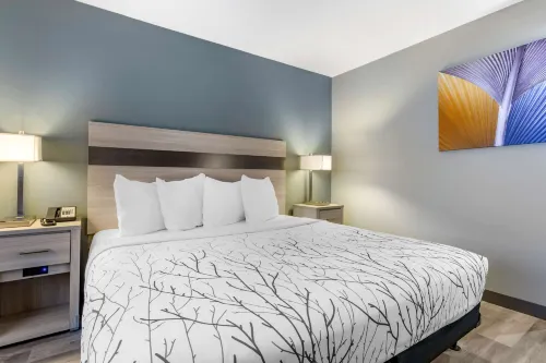 Best Western Blythe Rooms Photos