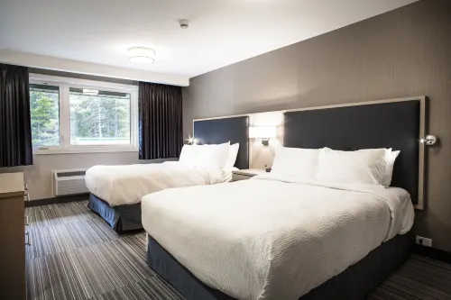 Mountaineer Lodge Chambres Photos