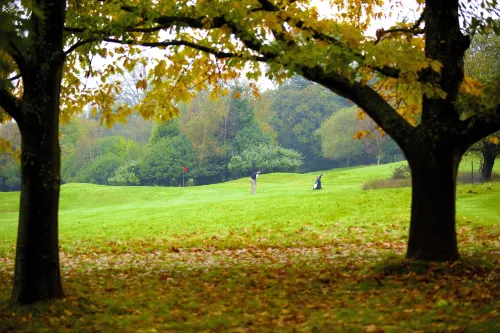 Ashdown Park Hotel Near Hotel Photos