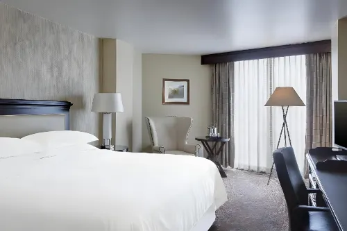 Sheraton Houston Brookhollow Hotel Chambres Photos