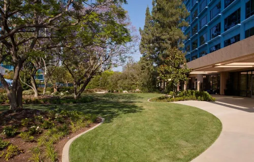 Disneyland Hotel Aree comuni Photos