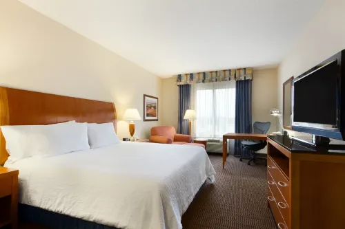 Hilton Garden Inn Atlanta East/Stonecrest Rooms Photos