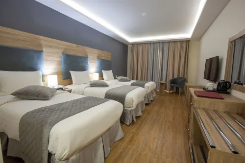 Petra Moon Hotel Rooms Photos