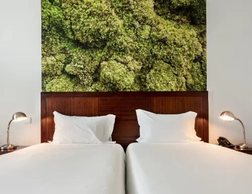 Neat Hotel Avenida Chambres Photos