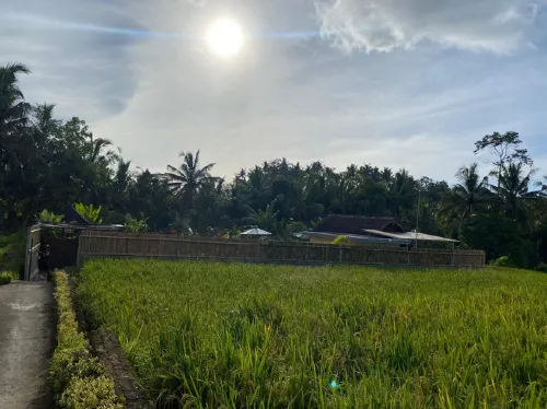 Kubu Selat Villa and Glamping Near Hotel Photos