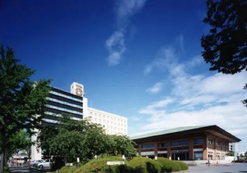 Hotel Grand Shinonome Zimmer Photos