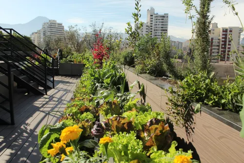 Mandarin Oriental, Santiago Extérieur Photos